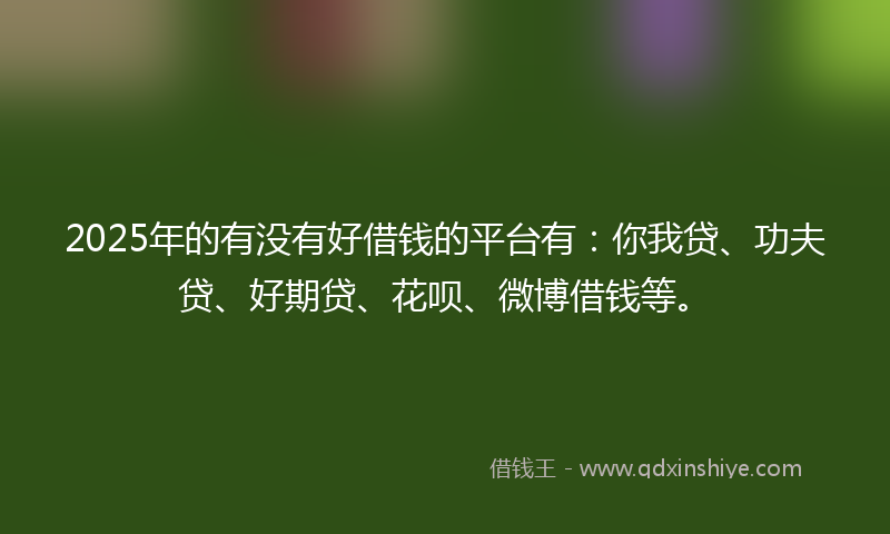 2025年的有没有好借钱的平台有：你我贷、功夫贷、好期贷、花呗、微博借钱等。
