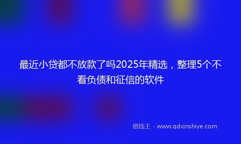 最近小贷都不放款了吗2025年精选，整理5个不看负债和征信的软件