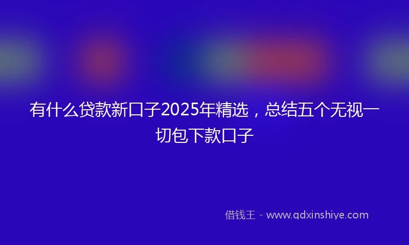 有什么贷款新口子2025年精选，总结五个无视一切包下款口子