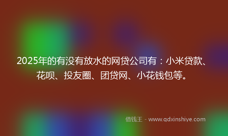 2025年的有没有放水的网贷公司有：小米贷款、花呗、投友圈、团贷网、小花钱包等。