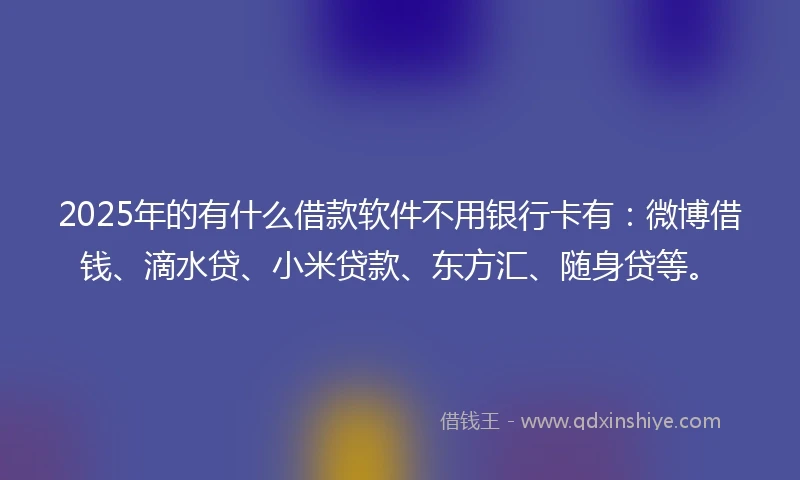 2025年的有什么借款软件不用银行卡有：微博借钱、滴水贷、小米贷款、东方汇、随身贷等。