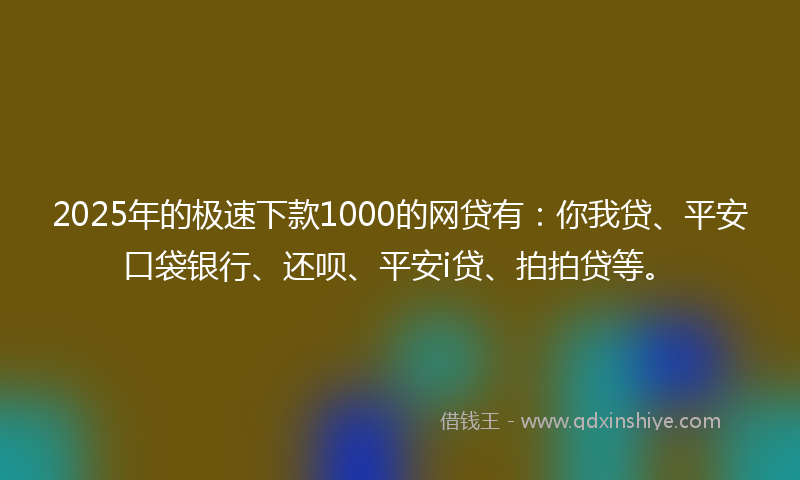 2025年的极速下款1000的网贷有：你我贷、平安口袋银行、还呗、平安i贷、拍拍贷等。