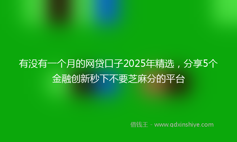 有没有一个月的网贷口子2025年精选，分享5个金融创新秒下不要芝麻分的平台