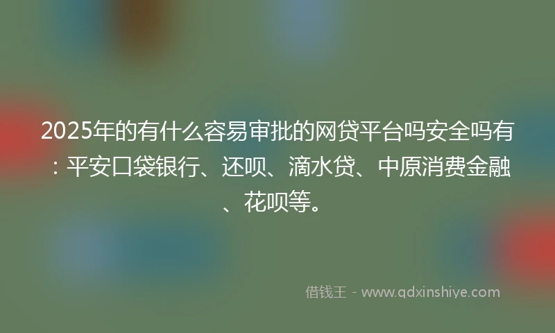 2025年的有什么容易审批的网贷平台吗安全吗有：平安口袋银行、还呗、滴水贷、中原消费金融、花呗等。