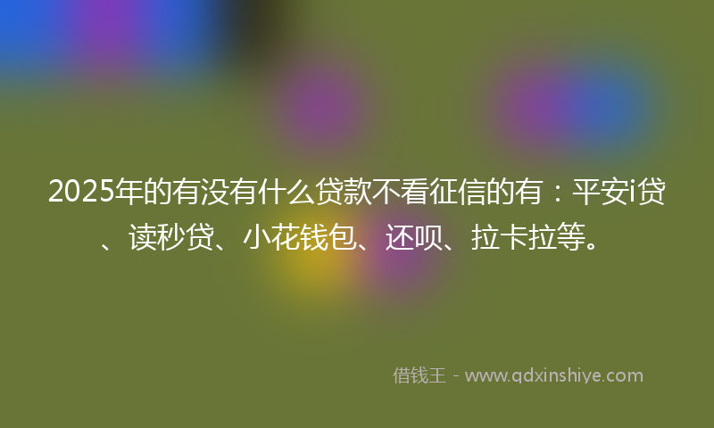 2025年的有没有什么贷款不看征信的有：平安i贷、读秒贷、小花钱包、还呗、拉卡拉等。