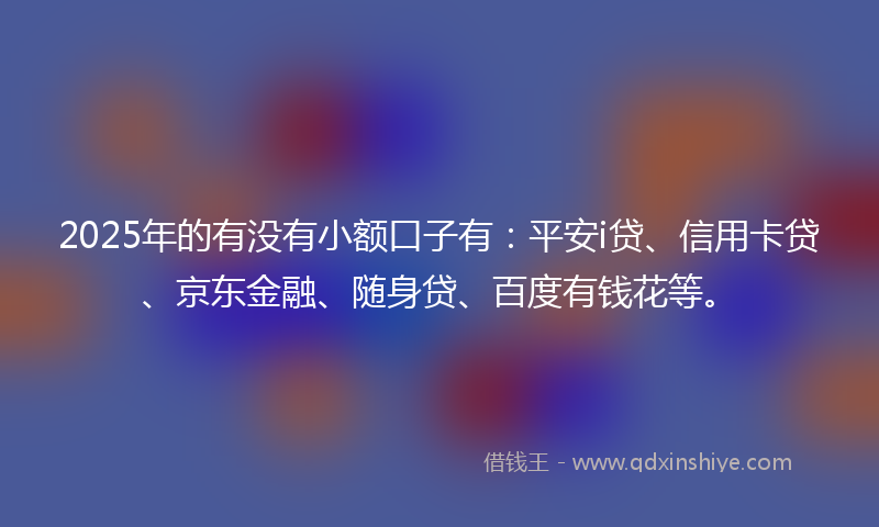 2025年的有没有小额口子有：平安i贷、信用卡贷、京东金融、随身贷、百度有钱花等。