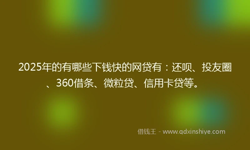 2025年的有哪些下钱快的网贷有：还呗、投友圈、360借条、微粒贷、信用卡贷等。