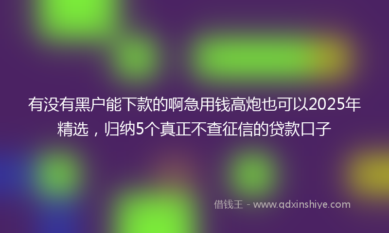 有没有黑户能下款的啊急用钱高炮也可以2025年精选，归纳5个真正不查征信的贷款口子