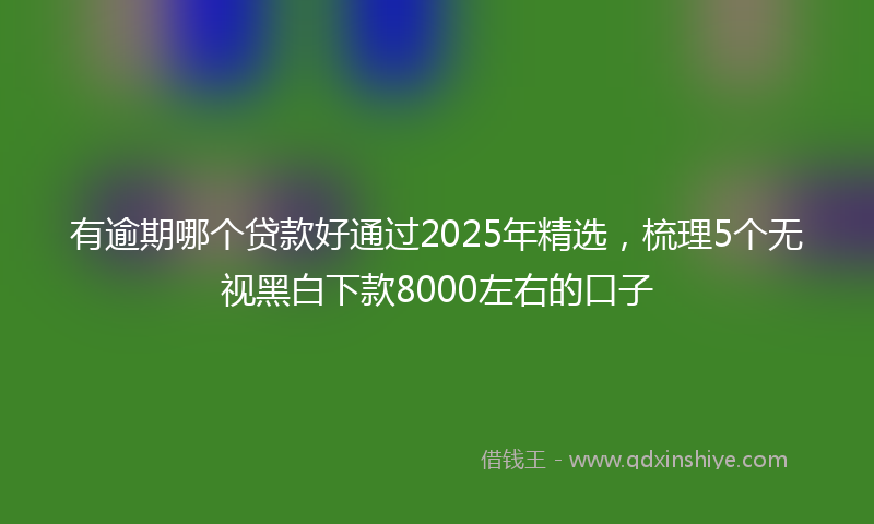 有逾期哪个贷款好通过2025年精选，梳理5个无视黑白下款8000左右的口子