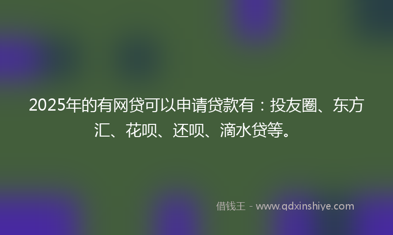 2025年的有网贷可以申请贷款有：投友圈、东方汇、花呗、还呗、滴水贷等。