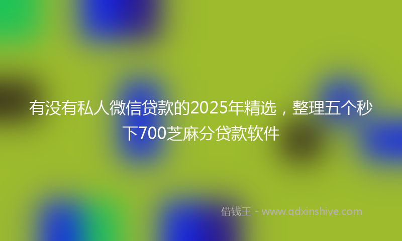 有没有私人微信贷款的2025年精选，整理五个秒下700芝麻分贷款软件