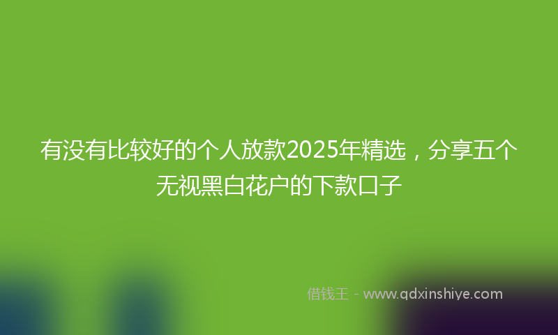 有没有比较好的个人放款2025年精选，分享五个无视黑白花户的下款口子