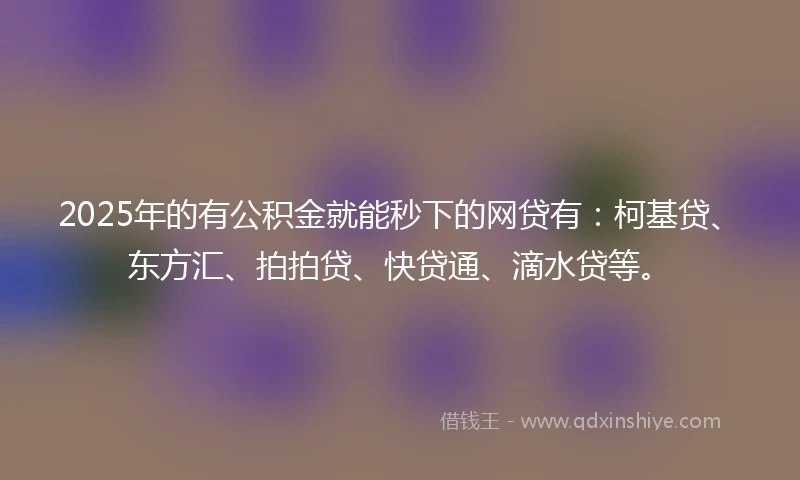 2025年的有公积金就能秒下的网贷有：柯基贷、东方汇、拍拍贷、快贷通、滴水贷等。