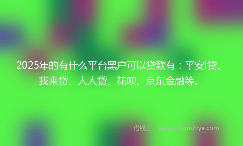 2025年的有什么平台黑户可以贷款有：平安i贷、我来贷、人人贷、花呗、京东金融等。