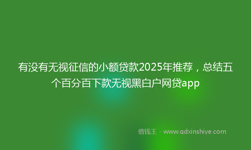 有没有无视征信的小额贷款2025年推荐，总结五个百分百下款无视黑白户网贷app