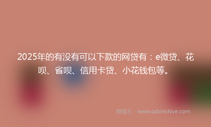 2025年的有没有可以下款的网贷有：e微贷、花呗、省呗、信用卡贷、小花钱包等。