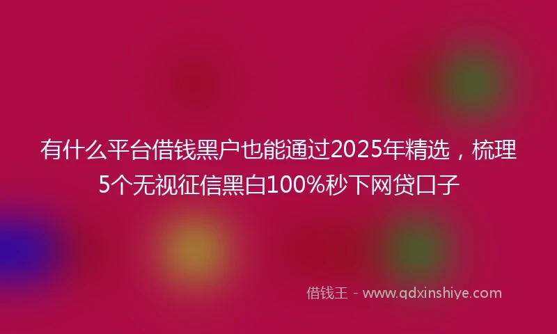 有什么平台借钱黑户也能通过2025年精选，梳理5个无视征信黑白100%秒下网贷口子