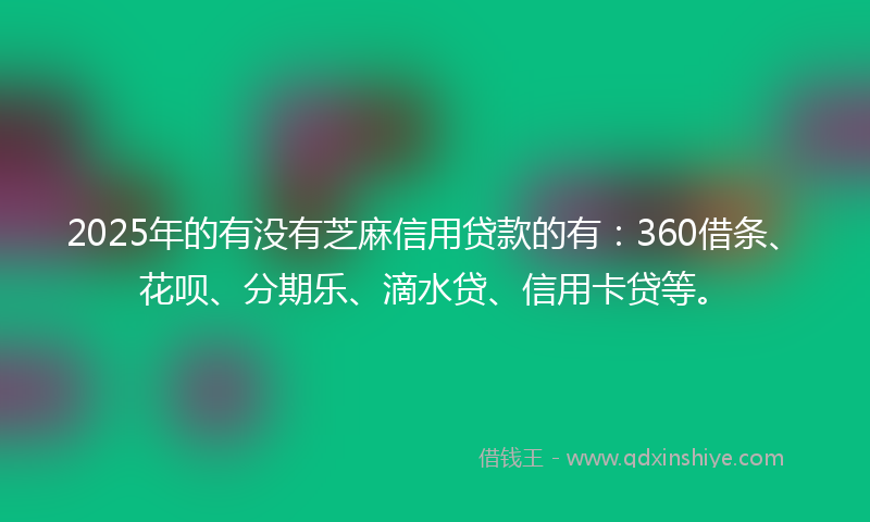 2025年的有没有芝麻信用贷款的有：360借条、花呗、分期乐、滴水贷、信用卡贷等。
