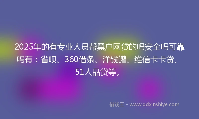 2025年的有专业人员帮黑户网贷的吗安全吗可靠吗有：省呗、360借条、洋钱罐、维信卡卡贷、51人品贷等。
