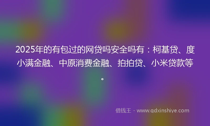 2025年的有包过的网贷吗安全吗有：柯基贷、度小满金融、中原消费金融、拍拍贷、小米贷款等。