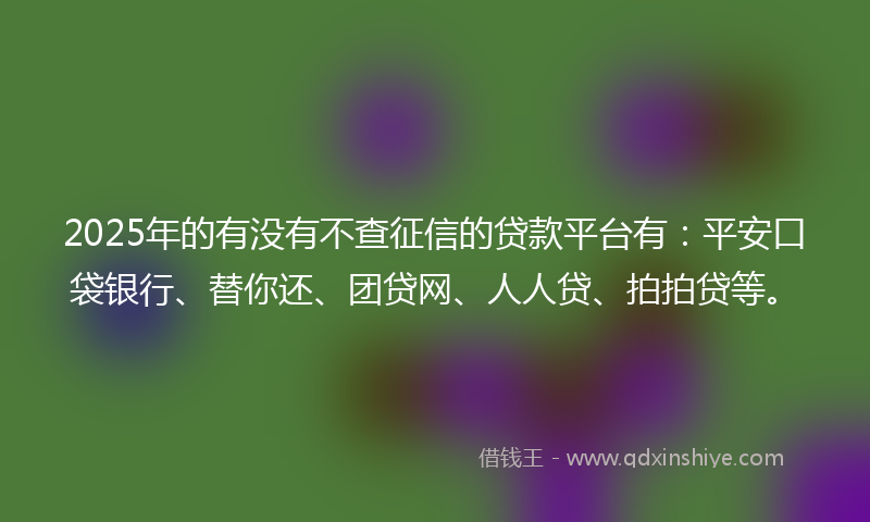 2025年的有没有不查征信的贷款平台有：平安口袋银行、替你还、团贷网、人人贷、拍拍贷等。