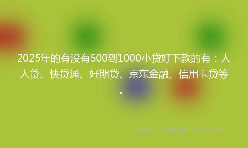 2025年的有没有500到1000小贷好下款的有：人人贷、快贷通、好期贷、京东金融、信用卡贷等。