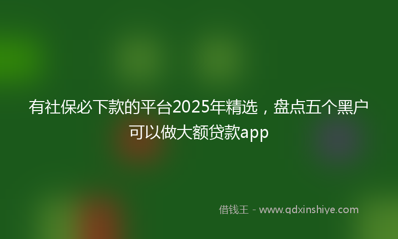 有社保必下款的平台2025年精选，盘点五个黑户可以做大额贷款app