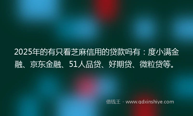 2025年的有只看芝麻信用的贷款吗有：度小满金融、京东金融、51人品贷、好期贷、微粒贷等。