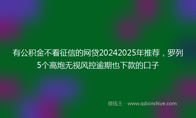 有公积金不看征信的网贷20242025年推荐，罗列5个高炮无视风控逾期也下款的口子