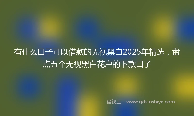 有什么口子可以借款的无视黑白2025年精选，盘点五个无视黑白花户的下款口子