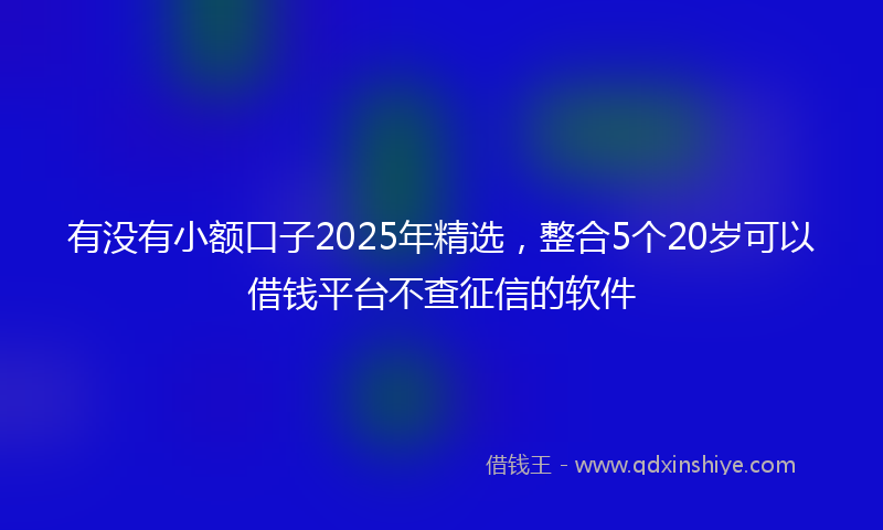有没有小额口子2025年精选，整合5个20岁可以借钱平台不查征信的软件