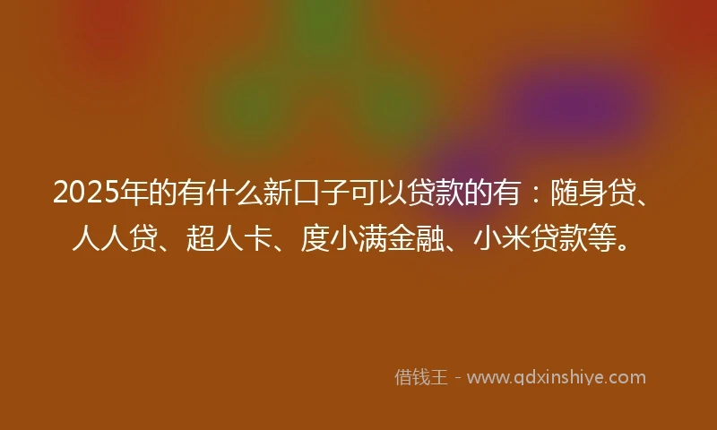 2025年的有什么新口子可以贷款的有：随身贷、人人贷、超人卡、度小满金融、小米贷款等。