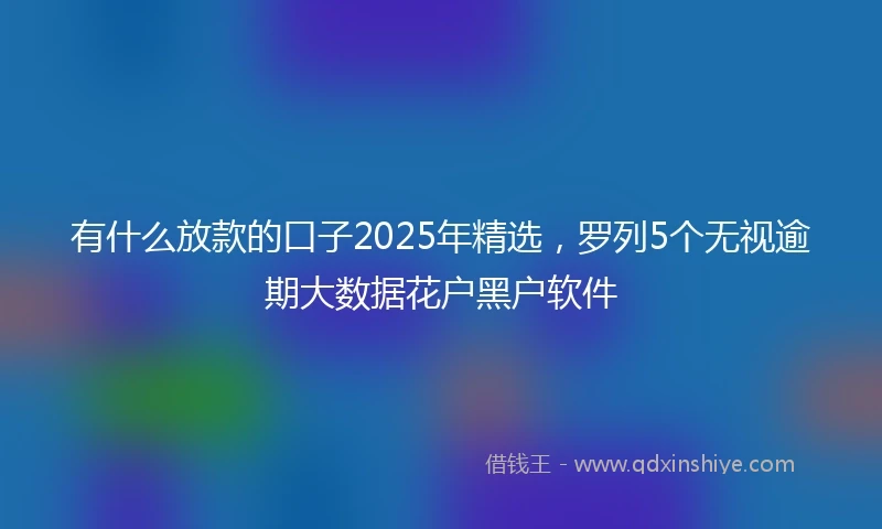 有什么放款的口子2025年精选，罗列5个无视逾期大数据花户黑户软件