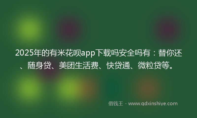2025年的有米花呗app下载吗安全吗有：替你还、随身贷、美团生活费、快贷通、微粒贷等。