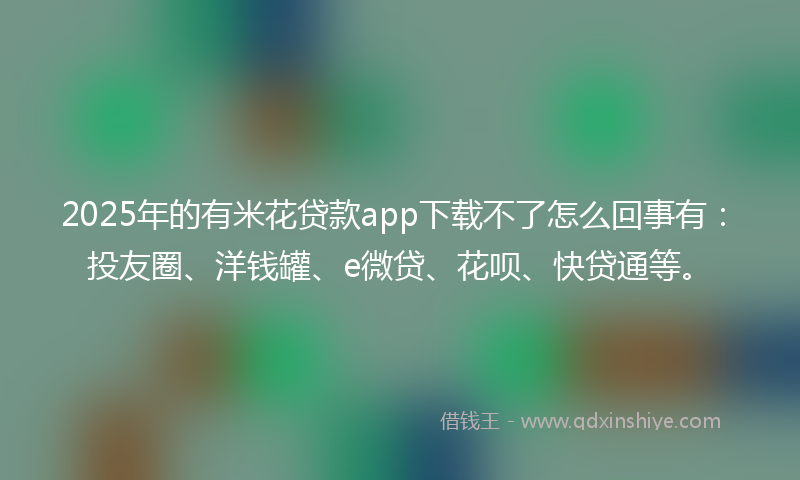 2025年的有米花贷款app下载不了怎么回事有：投友圈、洋钱罐、e微贷、花呗、快贷通等。