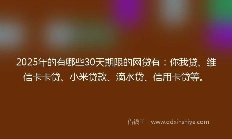 2025年的有哪些30天期限的网贷有：你我贷、维信卡卡贷、小米贷款、滴水贷、信用卡贷等。