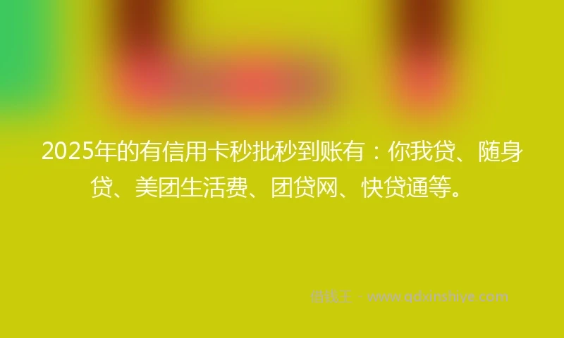 2025年的有信用卡秒批秒到账有：你我贷、随身贷、美团生活费、团贷网、快贷通等。