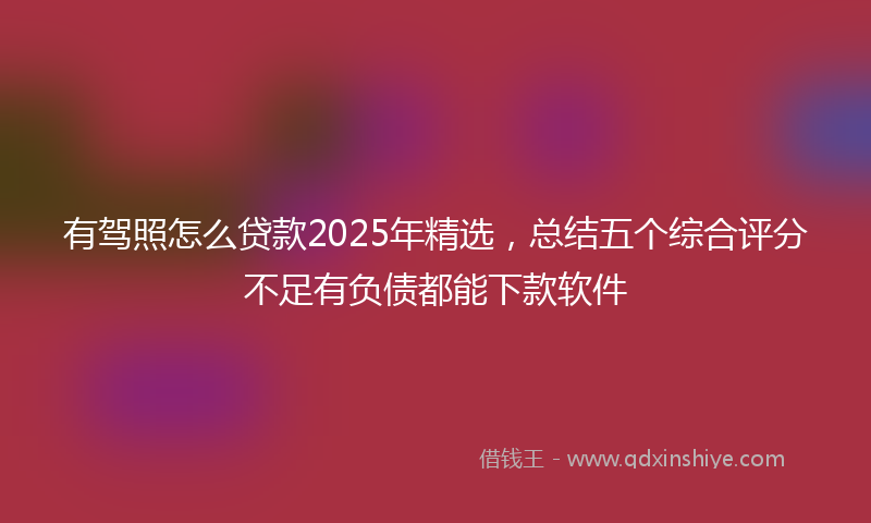 有驾照怎么贷款2025年精选，总结五个综合评分不足有负债都能下款软件