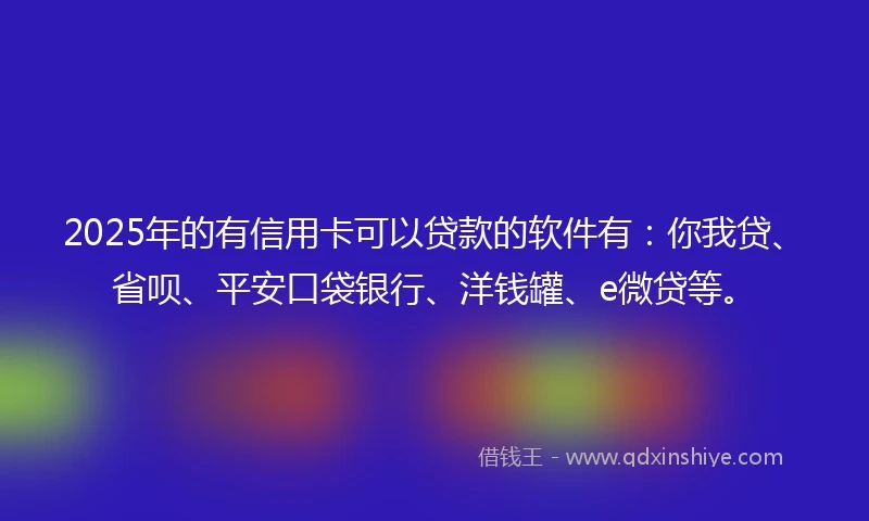 2025年的有信用卡可以贷款的软件有：你我贷、省呗、平安口袋银行、洋钱罐、e微贷等。