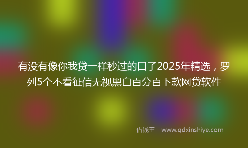 有没有像你我贷一样秒过的口子2025年精选，罗列5个不看征信无视黑白百分百下款网贷软件