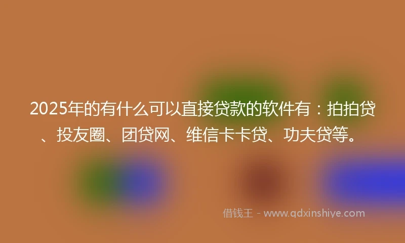 2025年的有什么可以直接贷款的软件有：拍拍贷、投友圈、团贷网、维信卡卡贷、功夫贷等。