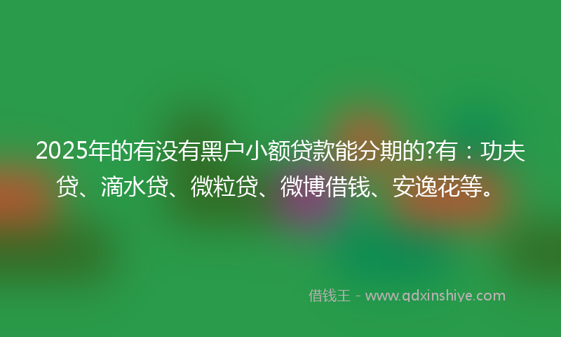 2025年的有没有黑户小额贷款能分期的?有：功夫贷、滴水贷、微粒贷、微博借钱、安逸花等。