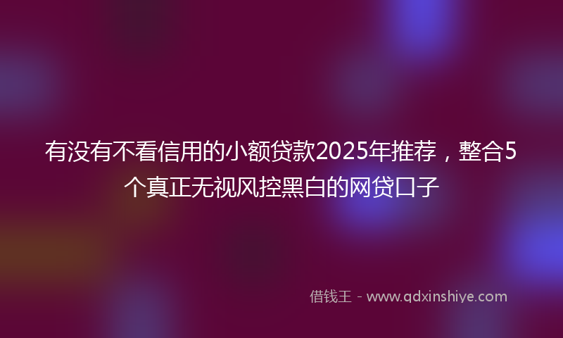 有没有不看信用的小额贷款2025年推荐，整合5个真正无视风控黑白的网贷口子