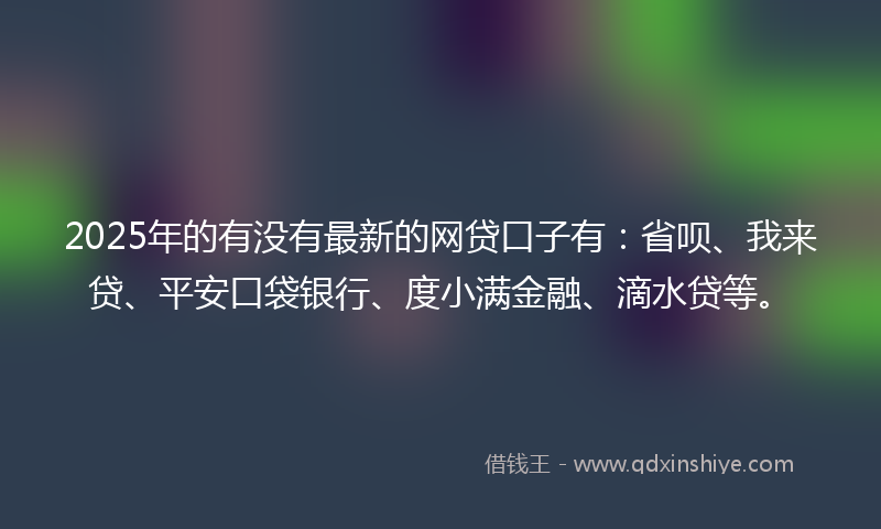2025年的有没有最新的网贷口子有：省呗、我来贷、平安口袋银行、度小满金融、滴水贷等。