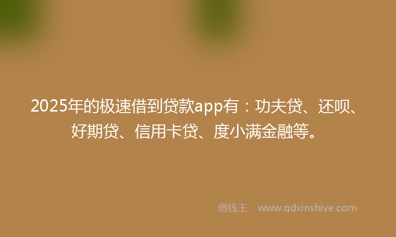 2025年的极速借到贷款app有：功夫贷、还呗、好期贷、信用卡贷、度小满金融等。