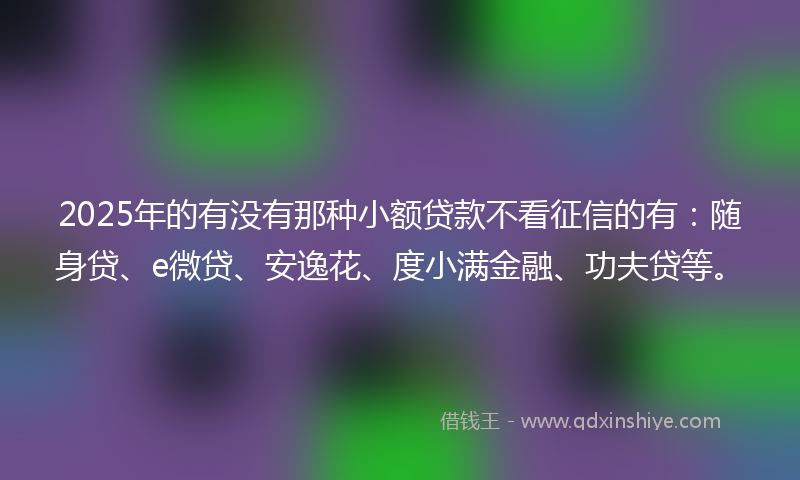 2025年的有没有那种小额贷款不看征信的有：随身贷、e微贷、安逸花、度小满金融、功夫贷等。