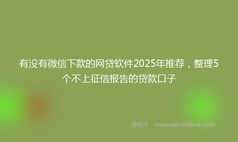 有没有微信下款的网贷软件2025年推荐，整理5个不上征信报告的贷款口子