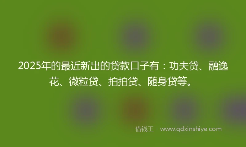 2025年的最近新出的贷款口子有:功夫贷、融逸花、微粒贷、拍拍贷、随身贷等。