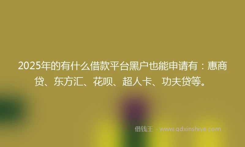 2025年的有什么借款平台黑户也能申请有：惠商贷、东方汇、花呗、超人卡、功夫贷等。