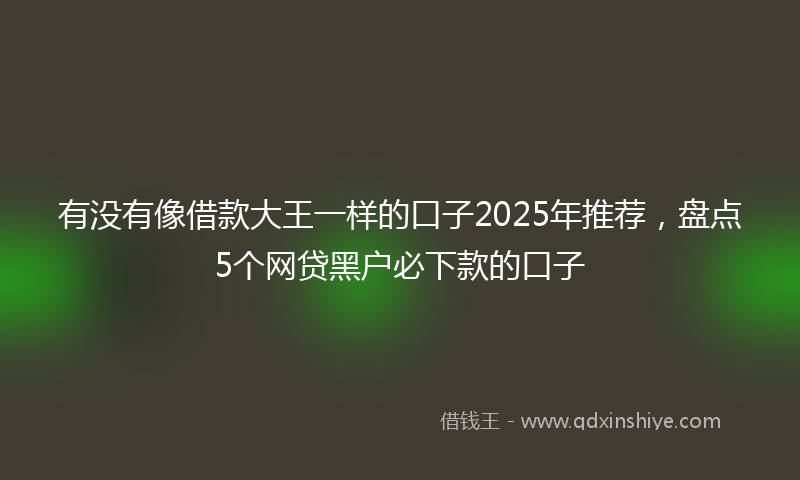 有没有像借款大王一样的口子2025年推荐,盘点5个网贷黑户必下款的口子